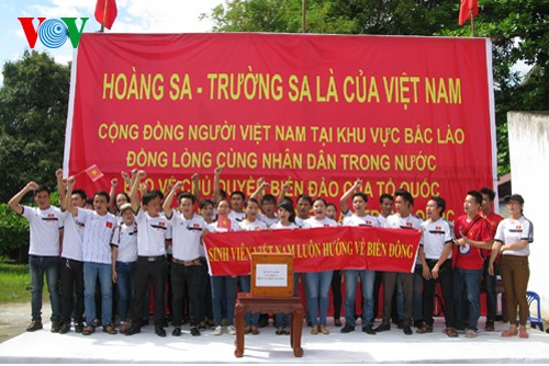 Cộng đồng Việt các tỉnh Bắc Lào mít tinh phản đối Trung Quốc - ảnh 3